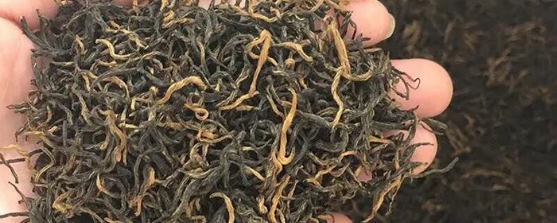 福建安溪红茶有哪些品种