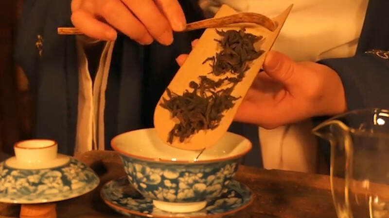 菜茶是什么品种的茶