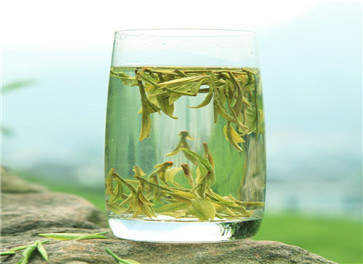安吉白茶哪里产的最好 最好的安吉白茶的优势