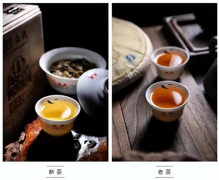 茶褐素是什么？为什么普洱茶里含量多？