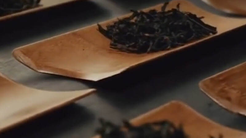 红茶有多少种品种
