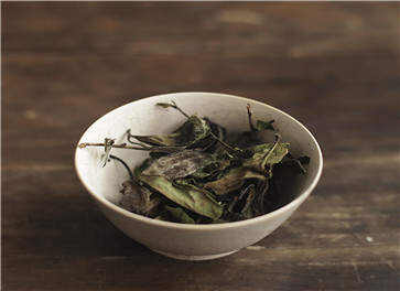 白茶有哪些品种 最常见的四种白茶品种
