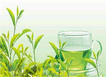 绿茶什么时候喝最好 喝绿茶的最佳时间