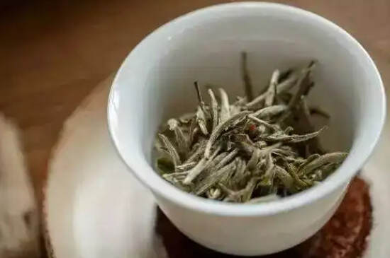 白茶是哪里产的