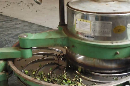 红茶加工工艺过程