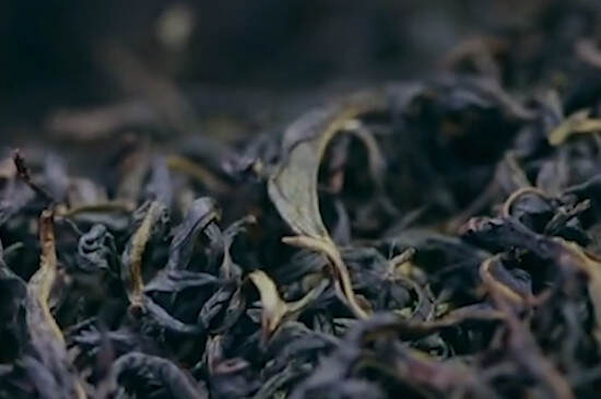 单丛茶有几种品种