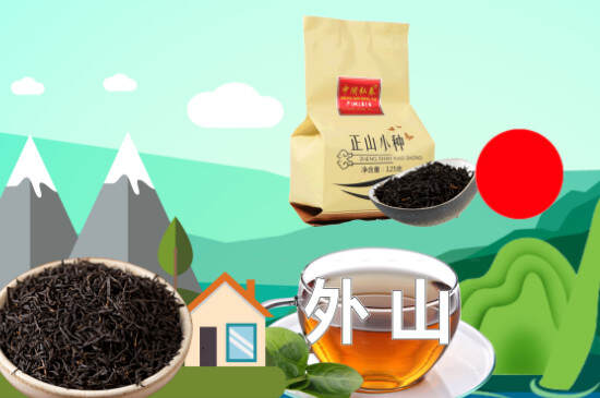正山小种属于什么茶
