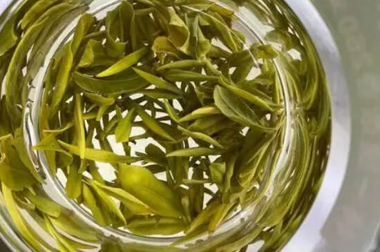 霍山黄芽是绿茶吗