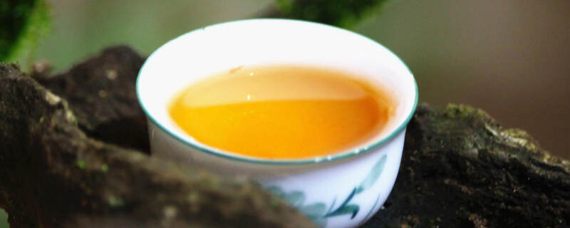 潮州高山茶属于什么茶
