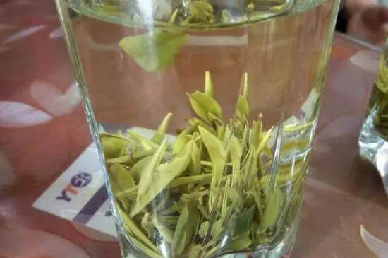 霍山黄芽是什么茶