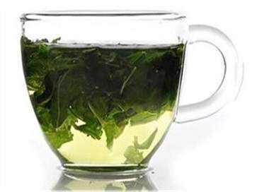 桑叶茶怎么泡效果最好 桑叶茶的功效与作用