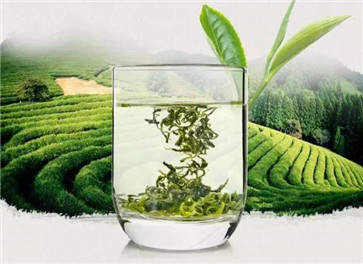 绿茶有哪些品种 十大品种推荐