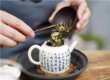 白茶的功效与作用 白茶的五大好处