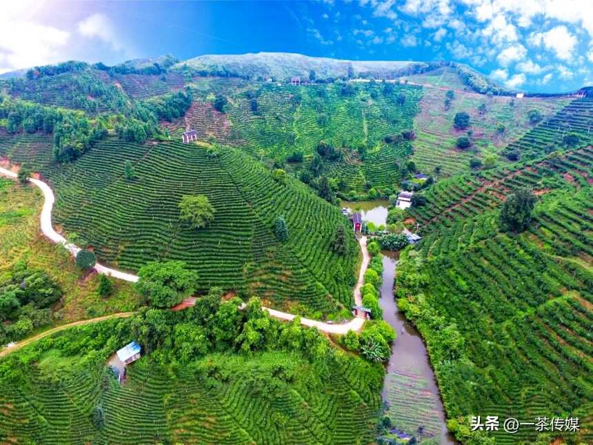 中国唯一正宗六堡茶产地——梧州巡礼