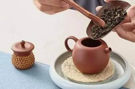 钟壶紫砂壶适合泡什么茶