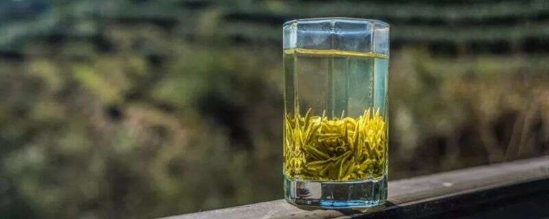 龙井茶属于绿茶吗