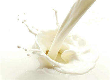 纯牛奶的功效与作用 牛奶的食用方法