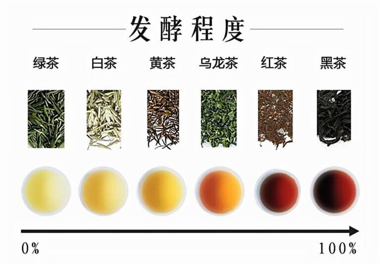最健康的茶叶是什么茶？六大类茶谁最健康？