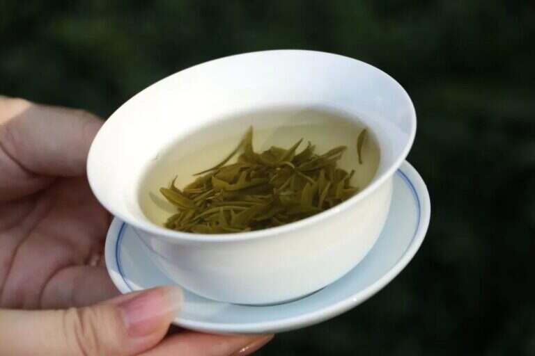 泡绿茶用什么茶具杯子最好（盖碗紫砂壶和玻璃杯泡茶的区别）