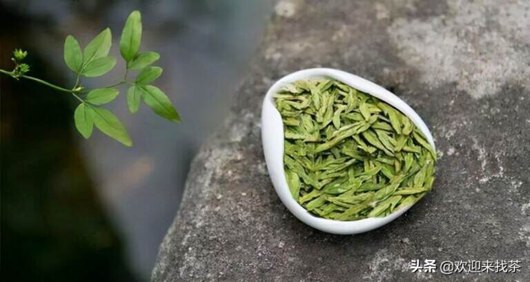 最好的绿茶是什么茶（盘点国内知名的绿茶品种）