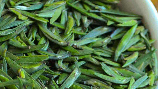 金坛雀舌茶叶多少钱一斤