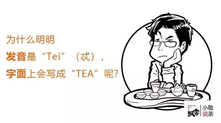 茶为什么叫tea（tea的历史来历）