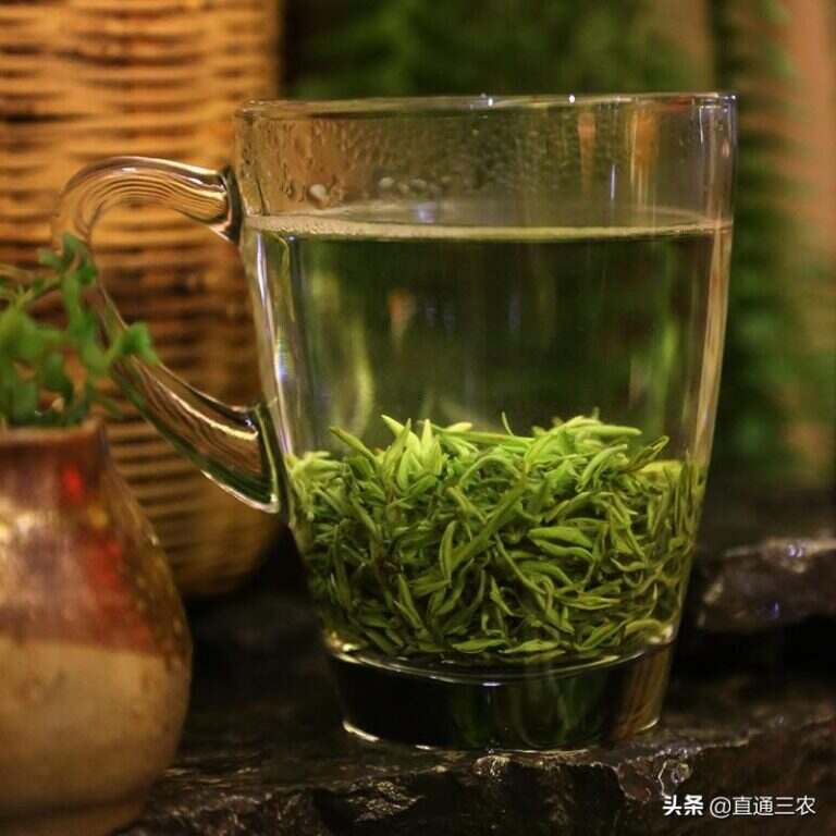 手工绿茶的制作方法（手工绿茶制作工艺流程步骤）