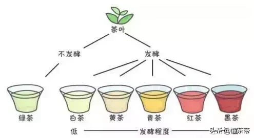 六大茶类营养成分含量（六大茶类营养成分大PK）
