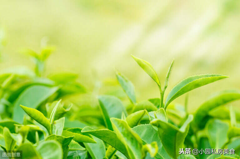 绿茶可以做什么美食点心（4款用绿茶做的点心饮料分享）