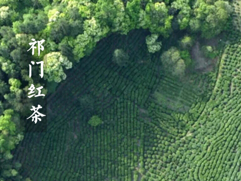 中国十大名茶祁门红茶（祁门红茶产地和茶叶特点）