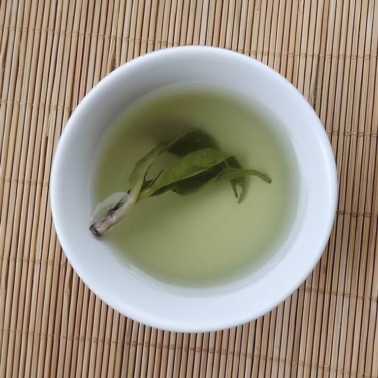 夏季茶饮推荐喝什么茶（苦丁茶的功效与作用）