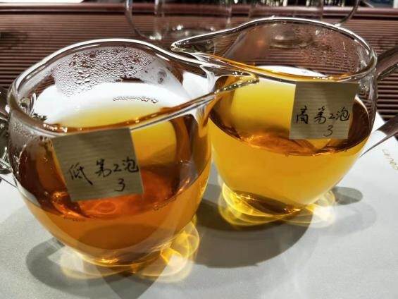 红茶最佳冲泡水温是多少（测试100℃与85℃水泡红茶区别）