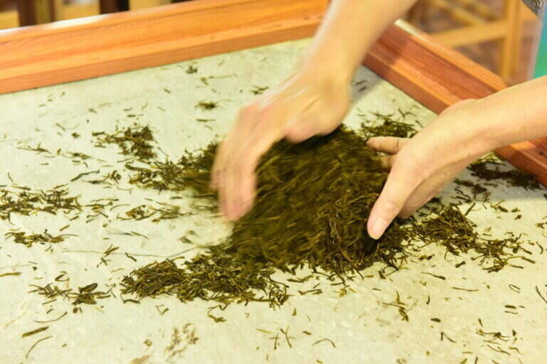 绿茶加工工艺分为哪几类（绿茶的加工工艺及步骤）