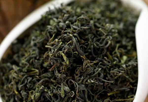崂山绿茶的发展史