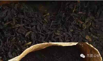 黑茶是怎么做出来的（黑茶的历史起源与演变）