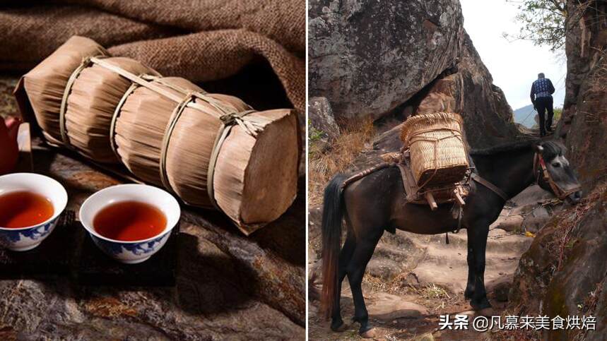 沱茶属于什么茶是红茶吗（沱茶的产地品质特征及冲泡方法）