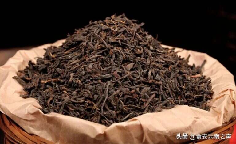 什么是青茶什么是黑茶（青茶和黑茶有什么不同）