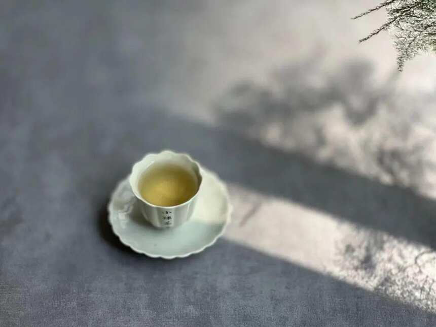 白茶有毫香、花香、粽叶香，那么岩茶呢？哪一种茶的香气更好？