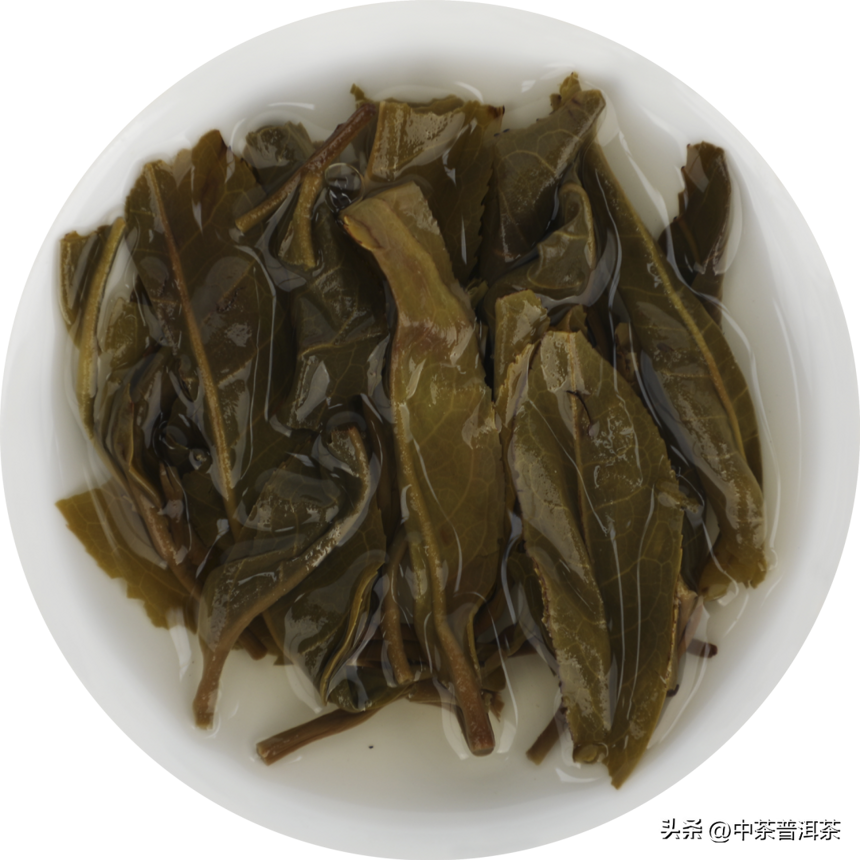中茶新品 | 2022中茶茗山 邦东 普洱茶（生茶）紧压茶