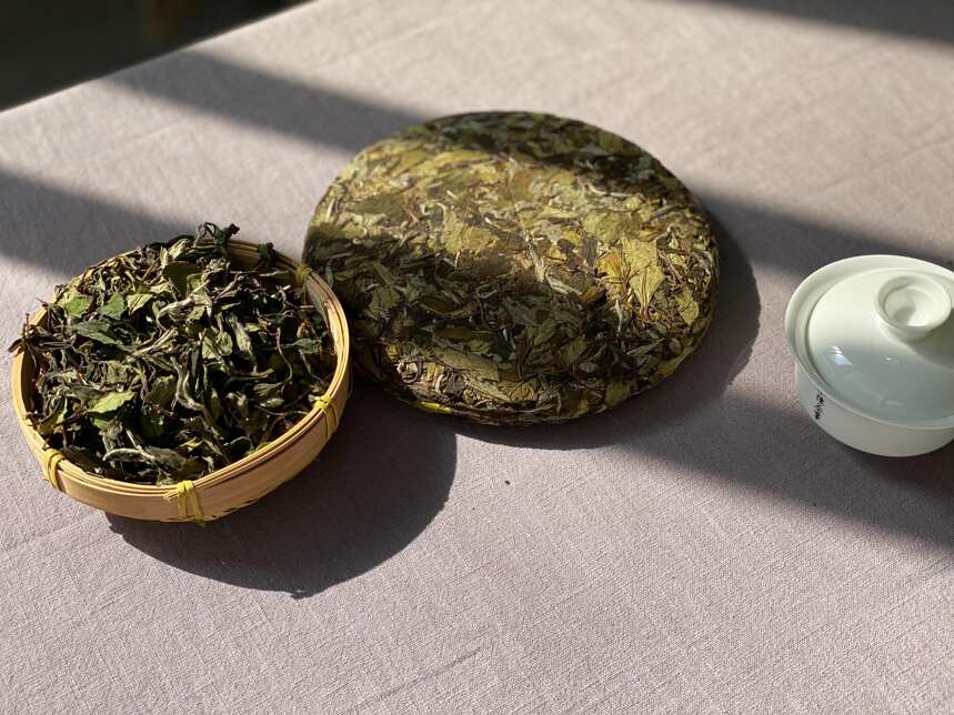 散茶和饼茶，哪个更有利于白茶的转化？新手存茶要注意什么？