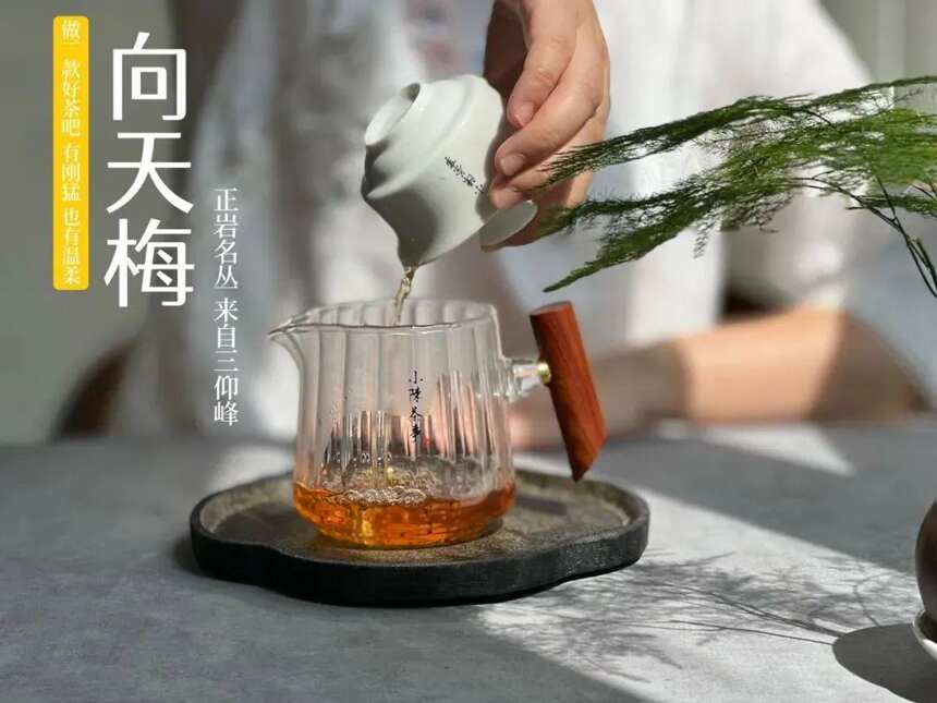 白茶有毫香、花香、粽叶香，那么岩茶呢？哪一种茶的香气更好？