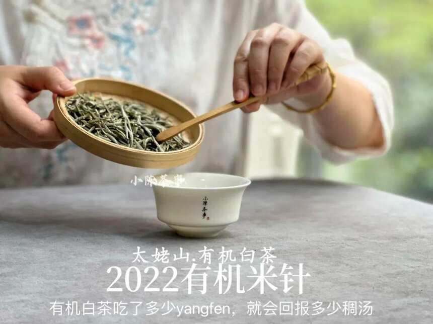 茶友来信，为什么有机米针贵过头采米针，甚至贵过去年的米针呢？