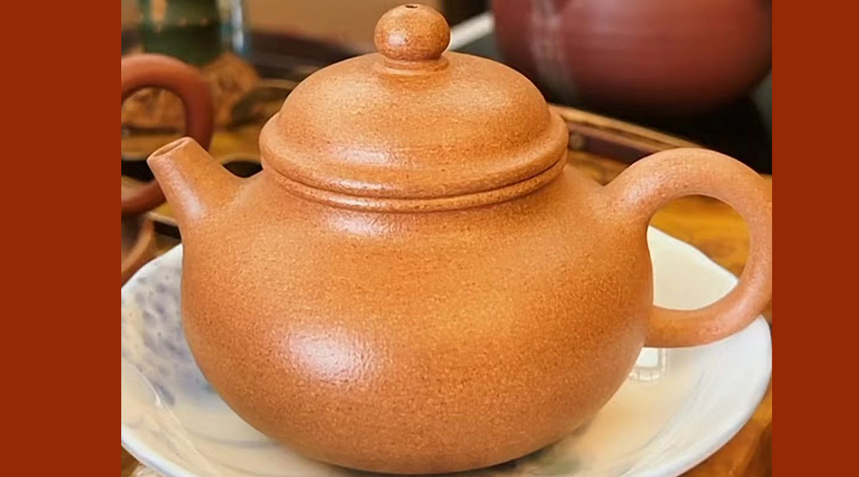 品茗识茶——白茶