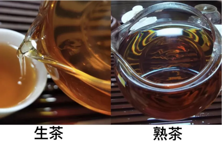 如何区分普洱茶生茶还是熟茶？普洱生茶和熟茶的区别