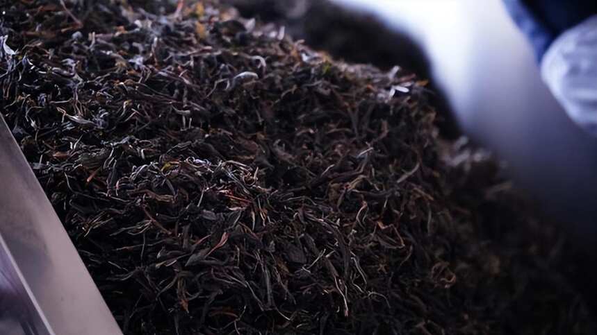 茶叶市场新格局：顶级名山单株成为奢侈品！大多数山头茶必然降价