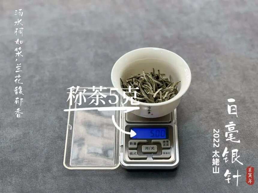 盖碗泡白毫银针，投入多少茶叶才算合适？3克、5克，还是8克？