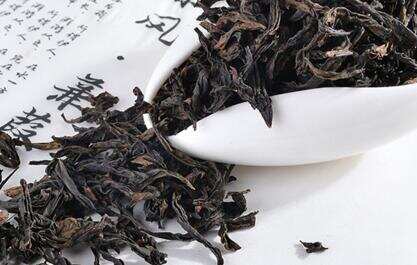 武夷山肉桂茶叶价格多少钱一斤？它属于什么茶？适合哪些人喝？