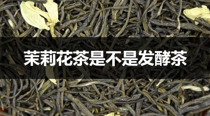 茉莉花茶是不是发酵茶吗？