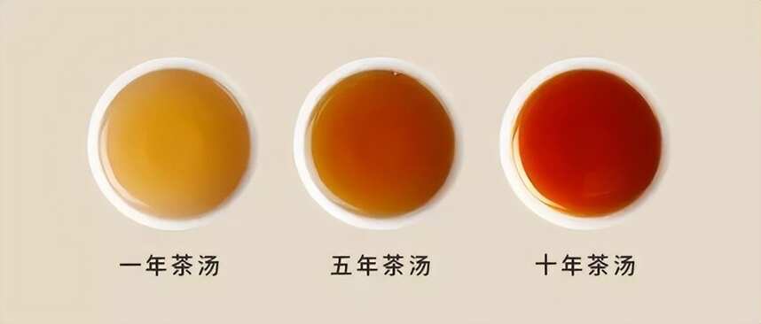 白茶，中国茶里的极简主义