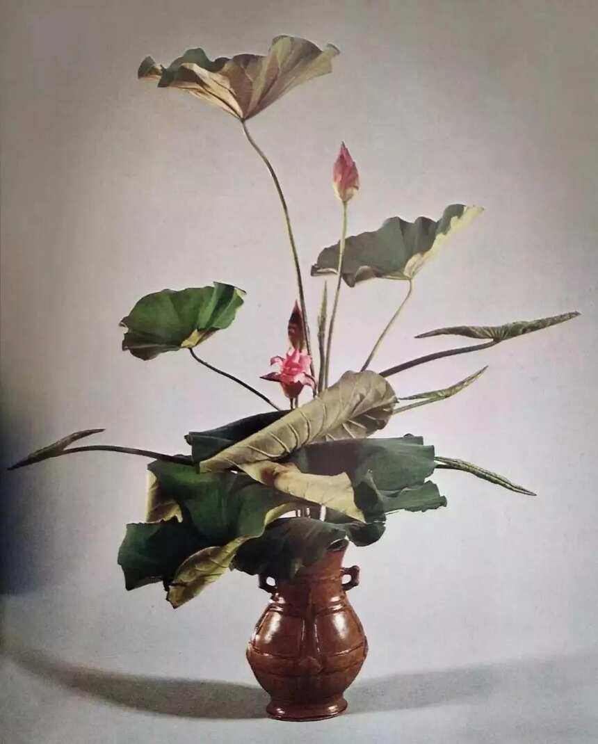 花道美学：枯の莲